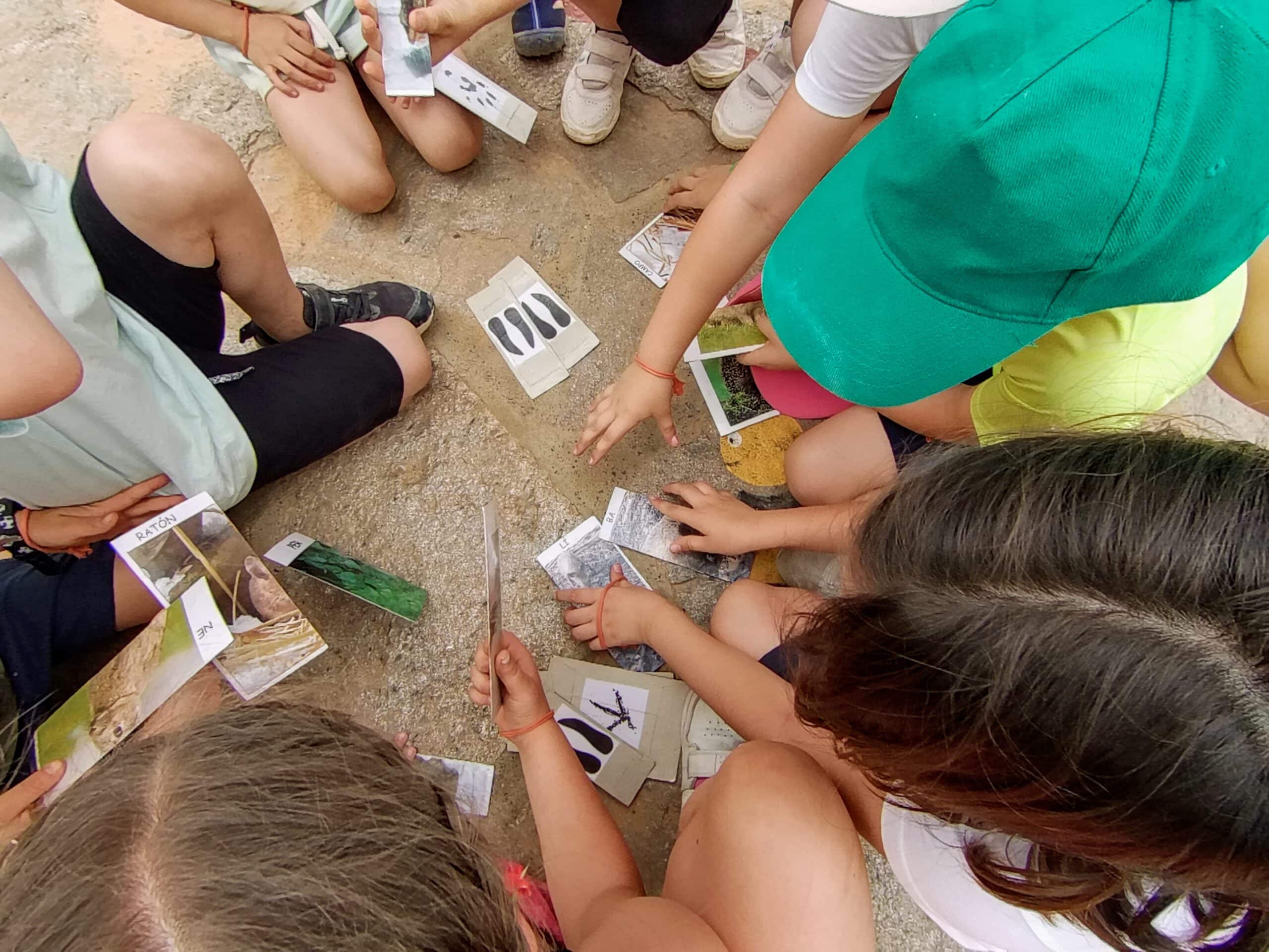 talleres sensibilización ambiental