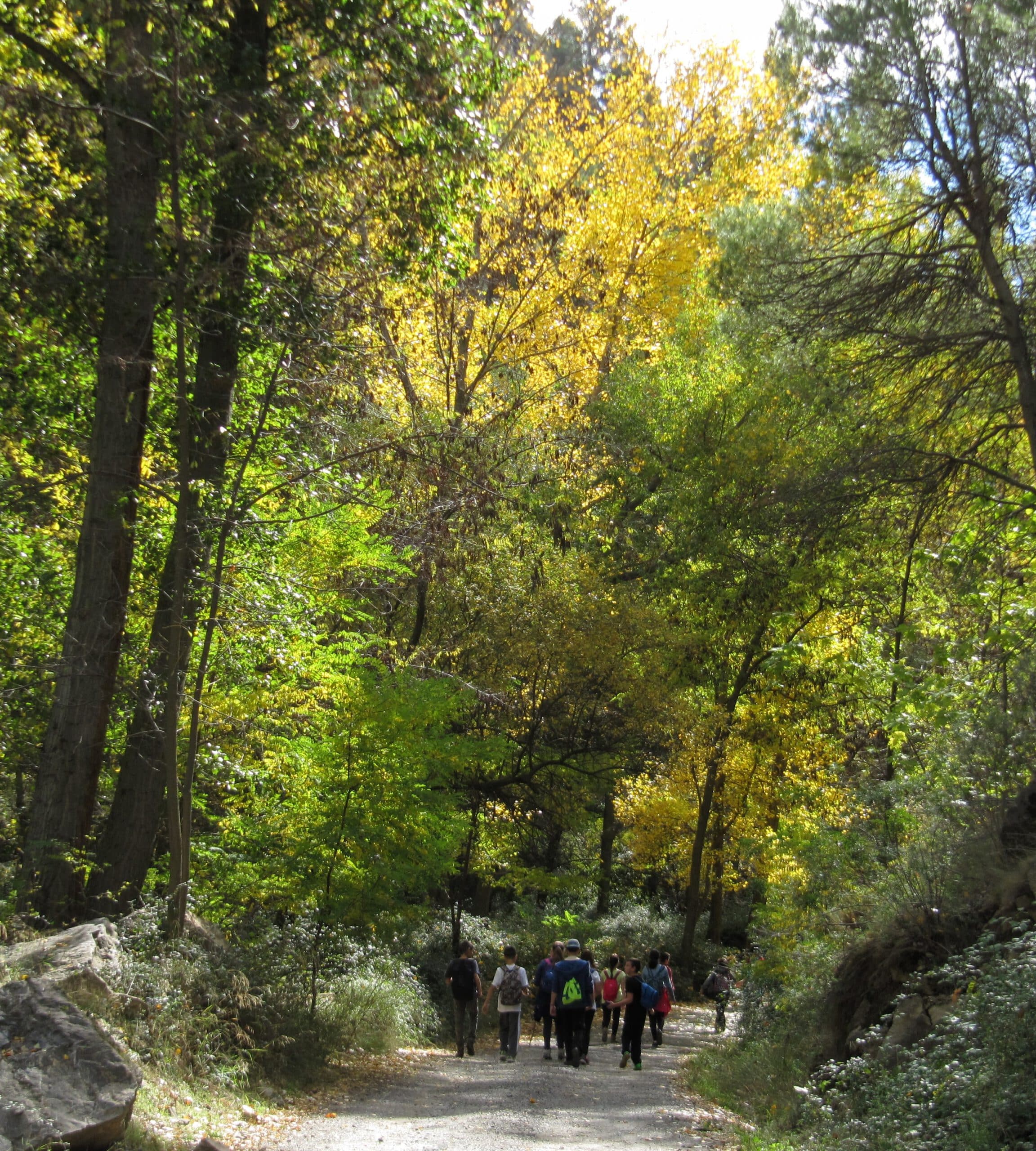 actividades en la naturaleza - el nacimiento-laujar de andarax